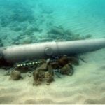 Seabed gives up Spanish Armada wreck cannons