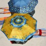 Beach hogger fined in Spain for saving spot with umbrella