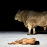 Campaigners demand opera drops bull from starring role