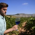 Spanish wine: Is blue the new red?