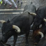 Man gored to death by bull in Spanish festival