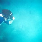 Teenager dies snorkelling after venomous fish encounter off Costa Brava beach