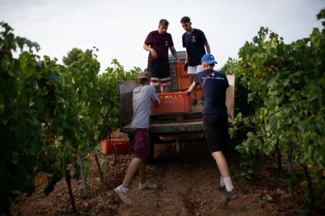 Uphill battle: Spain’s wine growers forced to adapt to climate change