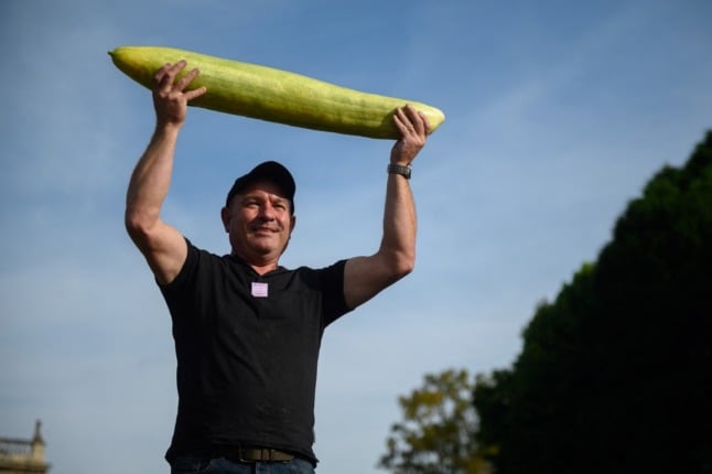 man holding giant cucumber