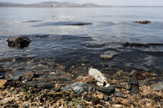 Mar Menor: Spain unveils plan for revival of crisis-hit lagoon