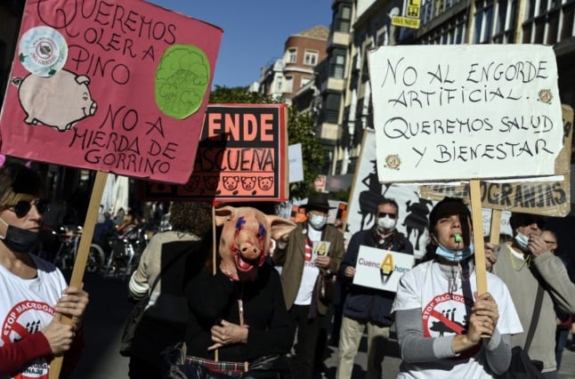 "We want to smell the pines, not pig shit" and "No to artificial fattening, we want health and wellbeing" reads two of the signs at the recent protest in Cuenca province. (Photo by OSCAR DEL POZO / AFP)